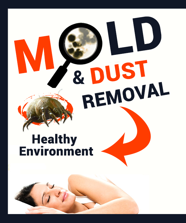 Mold and Dust Removal Service
