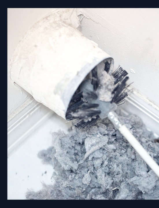 Mold and Dust Removal Service
