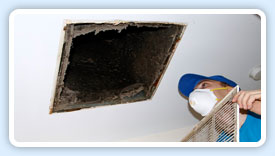 professional-cleaning-service